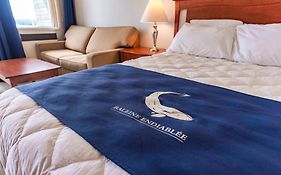 La Baleine Endiablee Microbrasserie